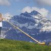 Alphorn 3-Piece Cherry in F#/Gb and F complete