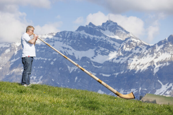Alphorn 6-Piece Pine in F#/Gb or F